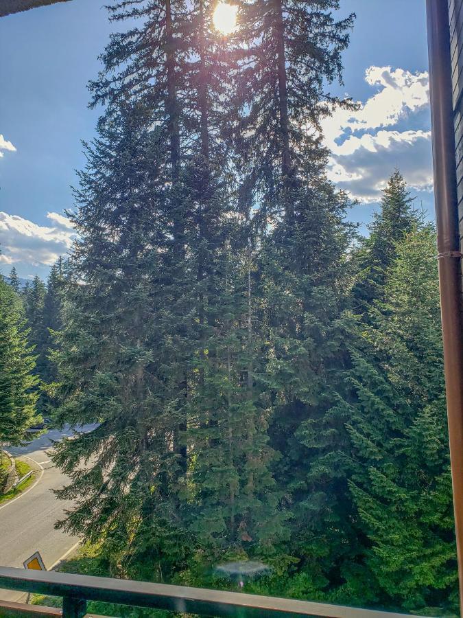 Lovely Borovets Apartment Luaran gambar
