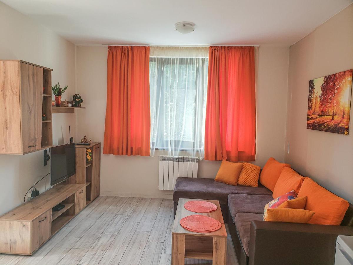 Lovely Borovets Apartment Luaran gambar