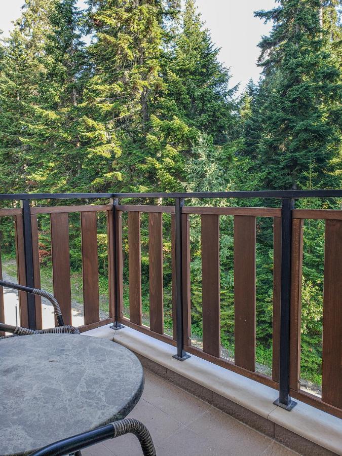 Lovely Borovets Apartment Luaran gambar