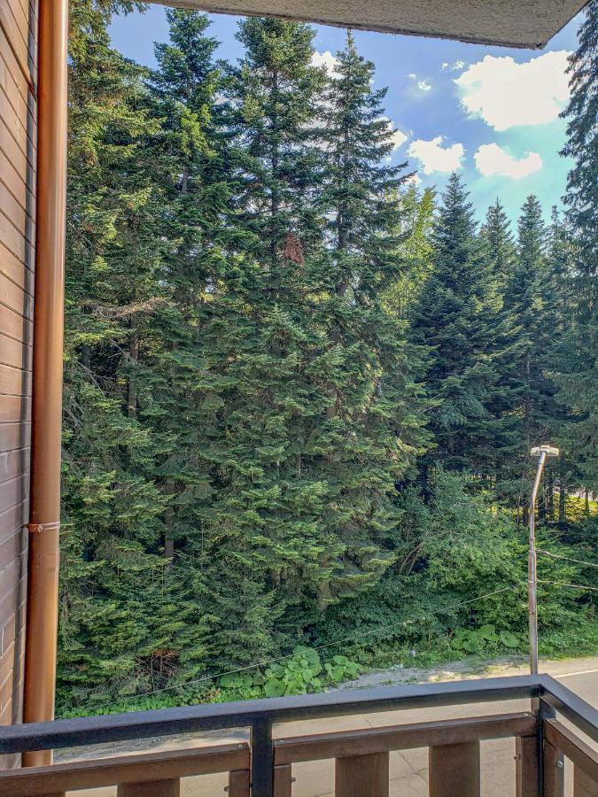 Lovely Borovets Apartment Luaran gambar