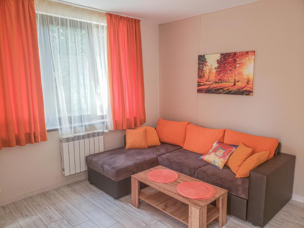 Lovely Borovets Apartment Luaran gambar